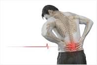 Lower Back Pain