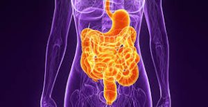 The Role of HCl in Digestion