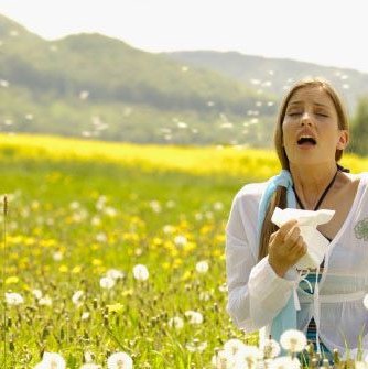 Allergies or cold