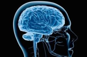 Cognitive Health