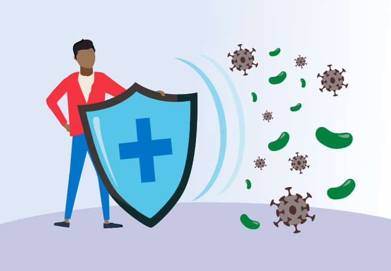 Immune System