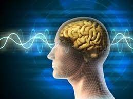 Better Cognitive Health in India?