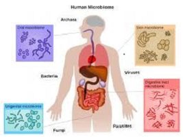 Microbiome