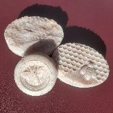healing hands by ashley, natural soap, lotion, shampoo, deodorants
