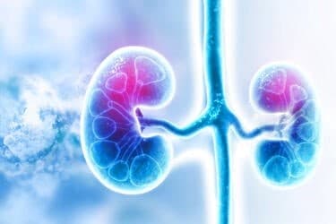 Low Carb & Kidney Health