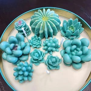 succulent garden candle