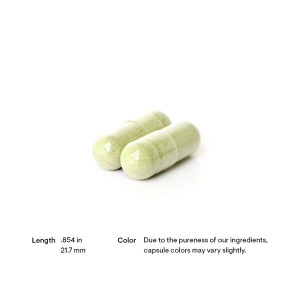 Thorne Quercetin Complex