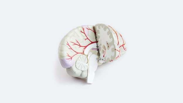 8 Common Biomarkers to Check if You Are Concerned About Brain Health